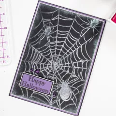 Embossing Folder - Pearl Powder - Spiders Web