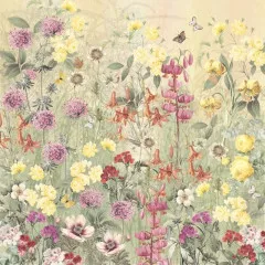 Meadow Garden - 12x12 Printed Paper Pad