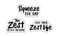 Clear Stamps & Metal Die & Template - Fruit Treat Boxes - Live your Zest Life