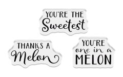 Clear Stamps & Metal Die & Template - Fruit Treat Boxes - One in a Melon