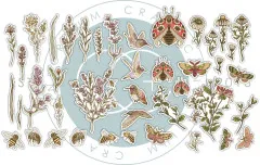 Premium Ephemera Set - Vintage Summer by Olena Kovalova