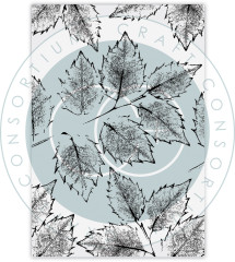 Clear Stamps - Journalling & Mixed Media Phase 3 - Stamps Holly