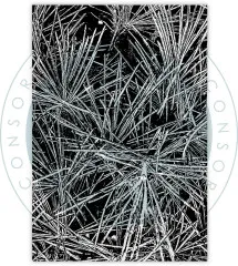 Clear Stamps - Journalling & Mixed Media Phase 3 - Pine Needles