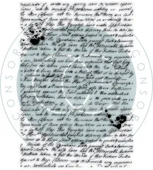 Clear Stamps - The Collector - Pen Pal