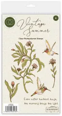 Clear Stamps - Vintage Summer - Hummingbird by Olena Kovalova