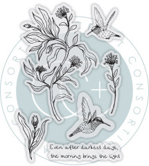 Clear Stamps - Vintage Summer - Hummingbird by Olena Kovalova