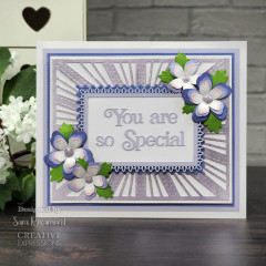 Craft Dies - Sue Wilson Block Sentiments You Are So Special