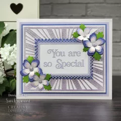 Craft Dies - Sue Wilson Block Sentiments You Are So Special