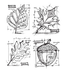 Cling Stamps Tim Holtz - Autumn Blueprint