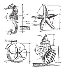 Tim Holtz Cling Stamps - Nautical Blueprint