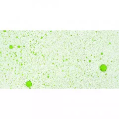 Cosmic Shimmer Airless Mister - Green Galore