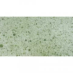 Cosmic Shimmer Airless Mister - Meadow Moss