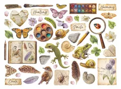 Stamperia Die Cuts - All Around