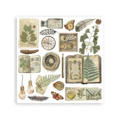 Stamperia - Rub-on Assortment - Herbarium Silvae