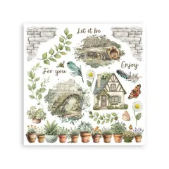 Stamperia - Rub-on Assortment - Herbarium Silvae