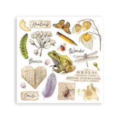 Stamperia - Rub-on Assortment - All Around