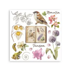 Stamperia - Rub-on Assortment - All Around