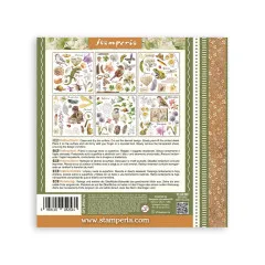 Stamperia - Rub-on Assortment - All Around