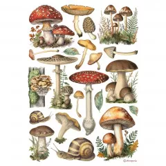 Stamperia Rice Paper - Mushrooms Stamperia Rice Paper - Mushrooms