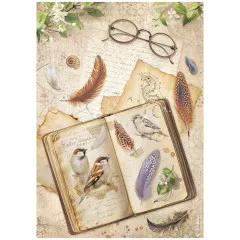 All Around - A4 Rice Paper Selection