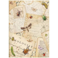 All Around - A4 Rice Paper Selection