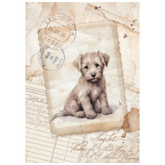 Stamperia A6 Mini Rice Paper - Quiet Days