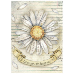 Stamperia A6 Mini Rice Paper - Daisy Art