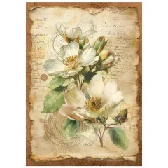 Stamperia A6 Mini Rice Paper - All Around