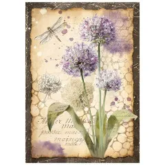 Stamperia A6 Mini Rice Paper - All Around