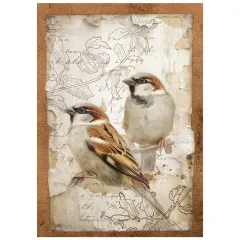 Stamperia A6 Mini Rice Paper - All Around
