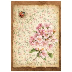 Stamperia A6 Mini Rice Paper - All Around