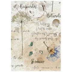 Stamperia A6 Mini Rice Paper - Flowers and Poems