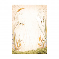 Stamperia A6 Rice Paper - Woodland - Backgrounds