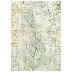 Stamperia A6 Rice Paper - Herbarium Silvae - Backgrounds