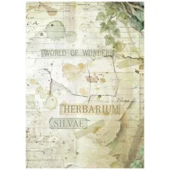 Stamperia A6 Rice Paper - Herbarium Silvae - Backgrounds