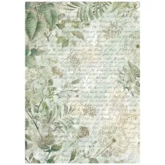 Stamperia A6 Rice Paper - Herbarium Silvae - Backgrounds