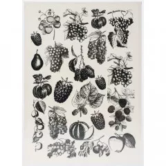 Transfer Me Sheet A4 - Vintage Fruits