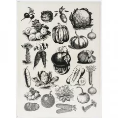 Transfer Me Sheet A4 - Vintage Vegetables