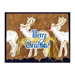 Spellbinders - 3D Embossing Folder - Starry Holiday - Stars and Fronds Frame