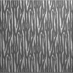 Embossing Folder - Zebra