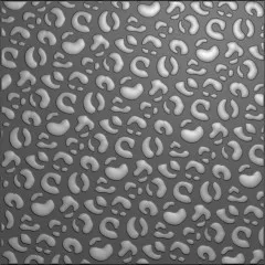 Embossing Folder - Leopard