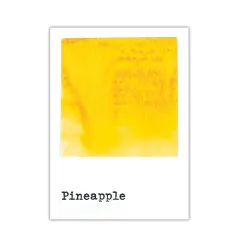 49 and Market - Dye Ink Re-Inker - Pineapple
