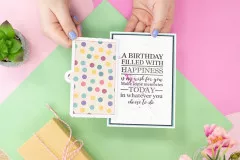 Gemini Stamp and Die Set - Rectangle Door Reveal