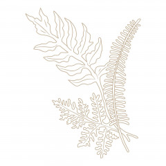 Spellbinders Hot Foil Plate - Glimmer Ferns