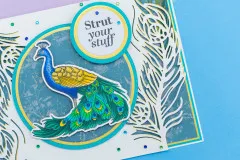 Clear Stamps - Graceful Plumes - Strut Your Stuff