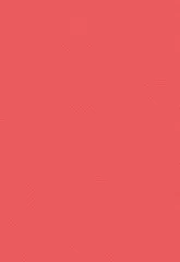 Graceful Plumes - A4 Luxury Linen Card Pack