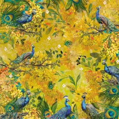 Graceful Plumes - 6x6 Paper Pad