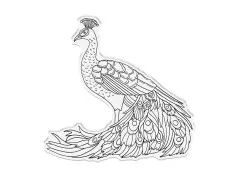 Clear Stamp & Cutting Die - Graceful Plumes - Proud Peacock