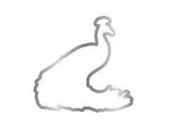 Clear Stamp & Cutting Die - Graceful Plumes - Proud Peacock