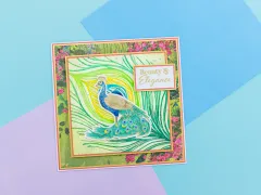 Clear Stamp & Cutting Die - Graceful Plumes - Proud Peacock